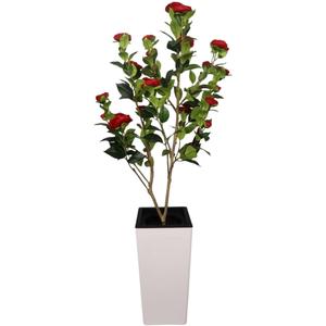 dsgfthfyjghudx.jpg